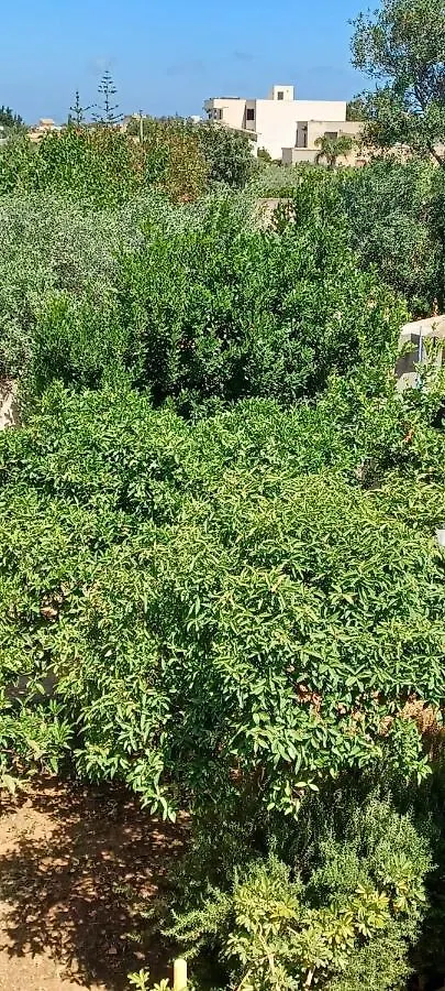 Casa Le Lantane Villa Marsala Holiday home